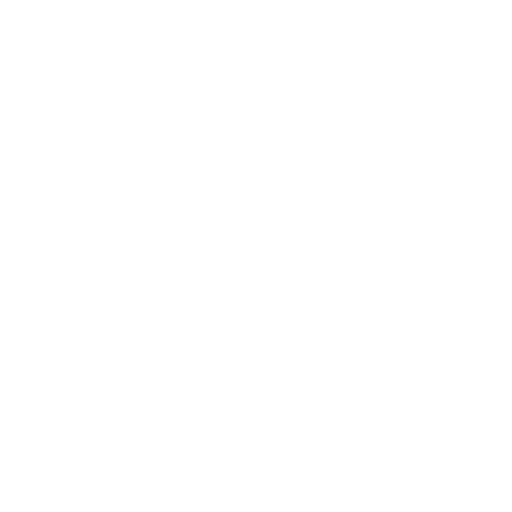 Content Writer